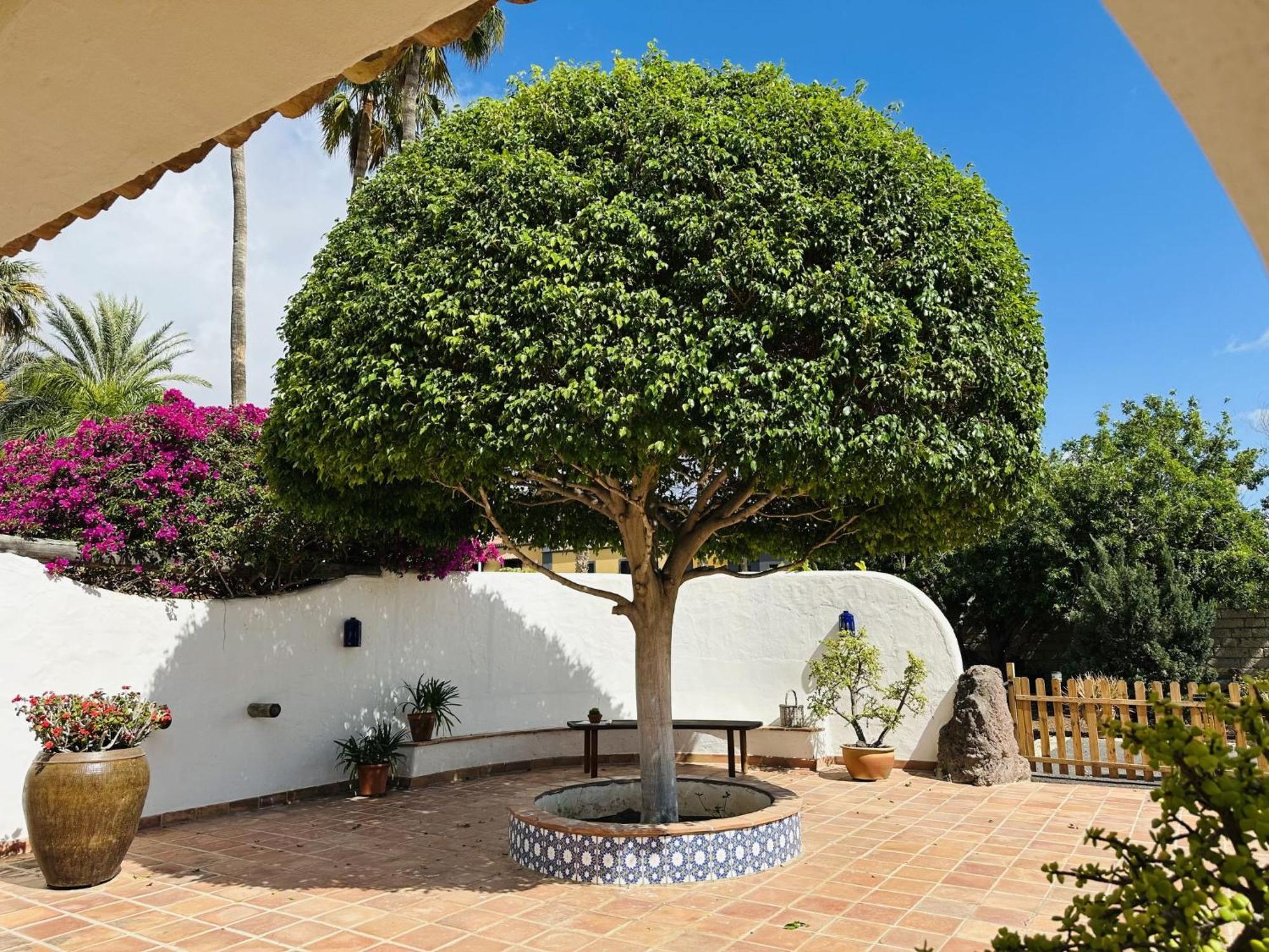 Villa Finca Ingala By Interhome Costa Adeje  Εξωτερικό φωτογραφία